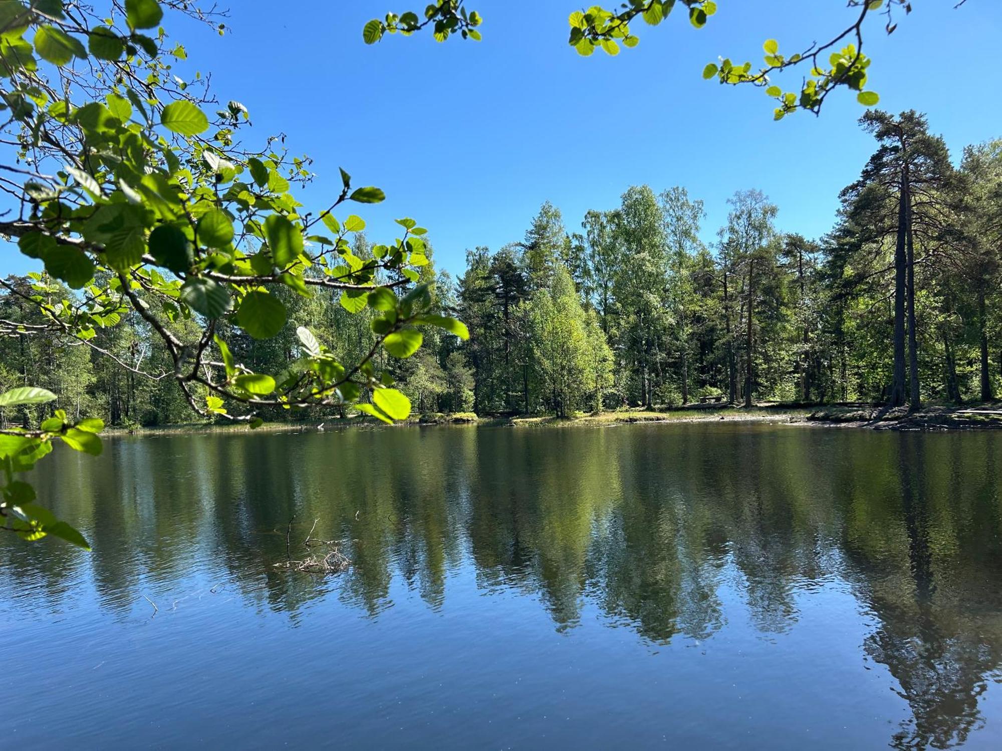 Hallingstua Oslo Dış mekan fotoğraf